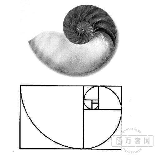 һ���ӽ���ѧ��ʹ�ûƽ�ָ���ʵս����,�������Ʋ���!