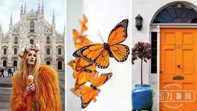 �����˳�ɫ�ʴ���,�ӹ�����͸����������!