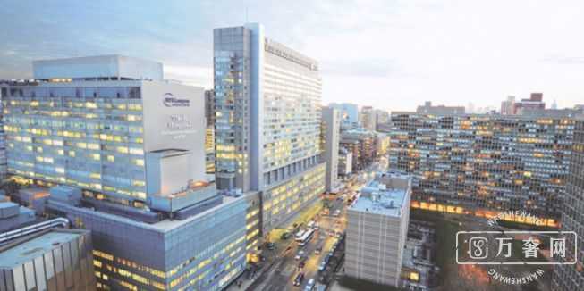 TOP19:ŦԼ��ѧ�ʸ���ҽѧ����