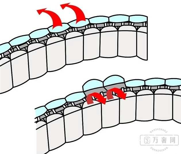 ֱִôڳԼС