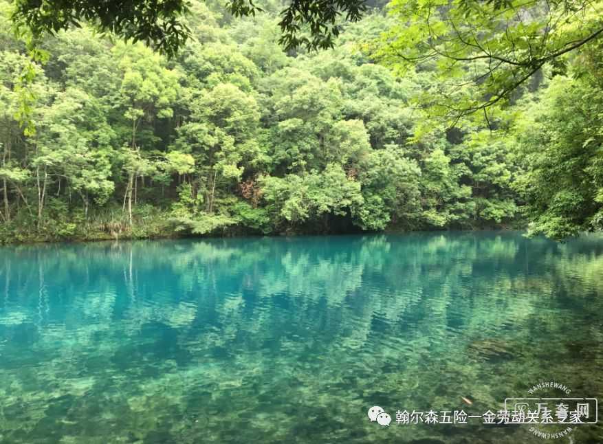 2019��ȱ�������ᱣ�սɷ���ϸ��