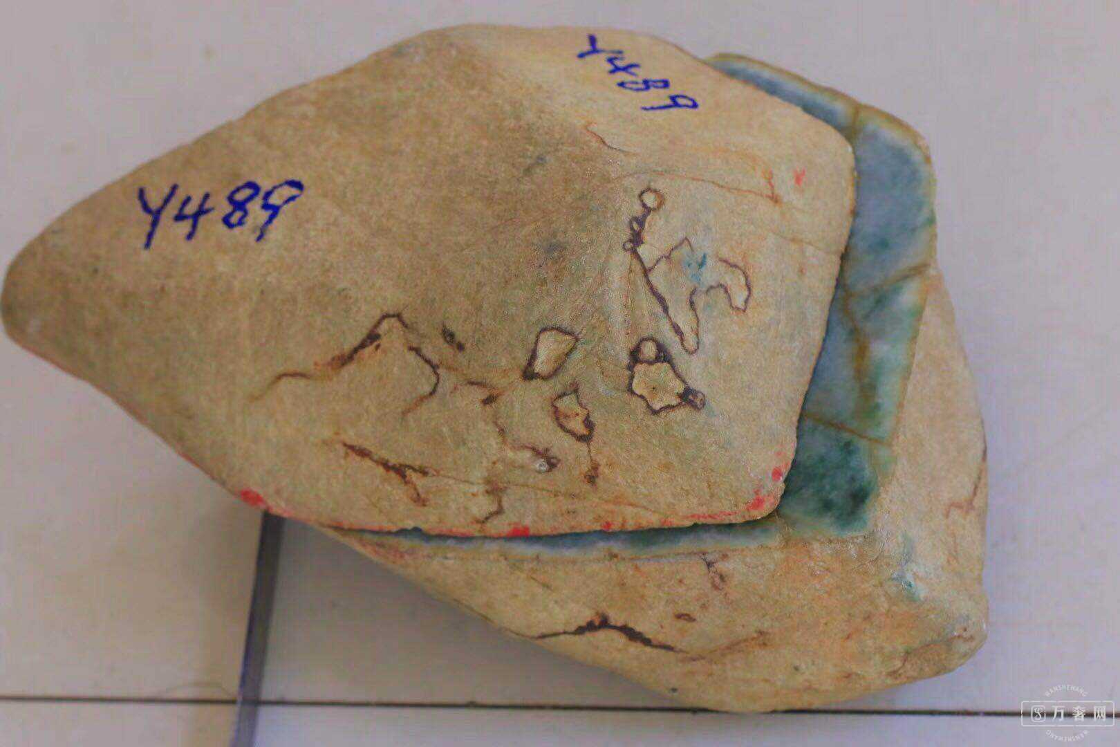 ���ԭʯ��������,����µ�����ѧ��!