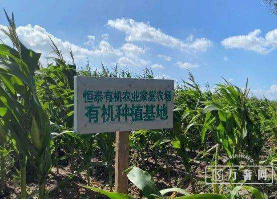 ���ԡ��ƽ����״�������Ŵ����,4Сʱ����,��ζŨ��