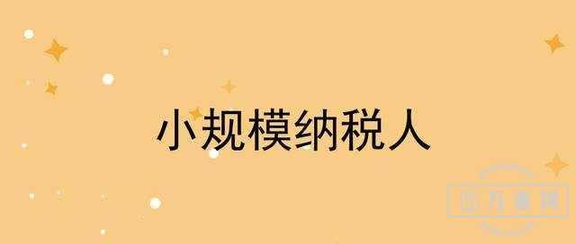 С��ģ��˰����ֵ˰�걨����ô��д?��ȫ�걨��д������!