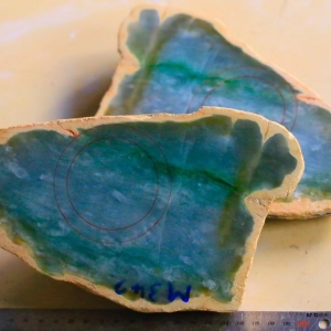 ���������Ϲ������ԭʯ��������?