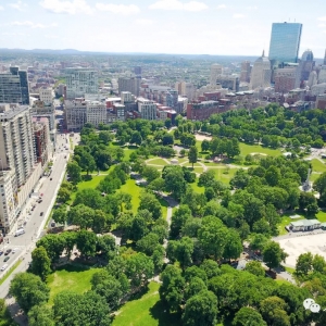 ˾ӵ㡿ʿٹ԰̵:ɢ䶼е 