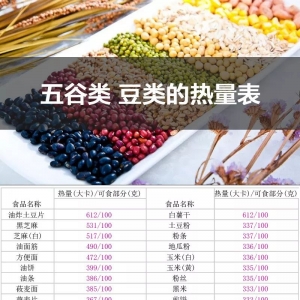 ��ȫʳ����������ȫ