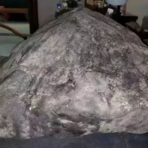 1ԭʯȻͳ600ֻ,ʮŲ䡱ô...