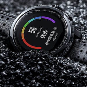 999Ԫ׿ƼAMAZFIT˶ֱ2