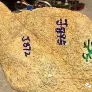 ΪʲôԭʯɫϱˮϹ?ΪʲôЩһĲֵ?