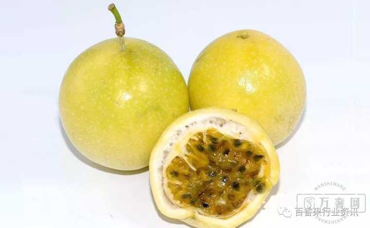 �ƽ�������ֲ��������(�ɻ�),����ֲ���ؿ�!