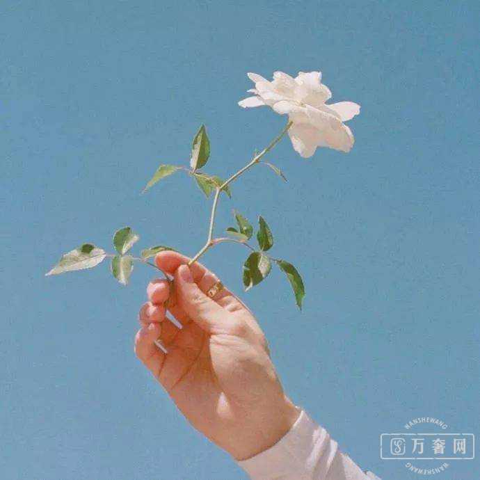 2020����ڷż�֪ͨ 2020����żٰ���ʱ���